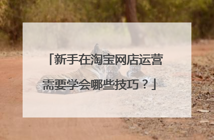 新手在淘宝网店运营需要学会哪些技巧？