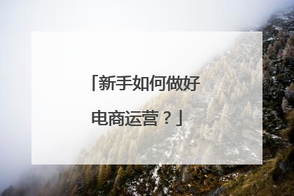 新手如何做好电商运营?