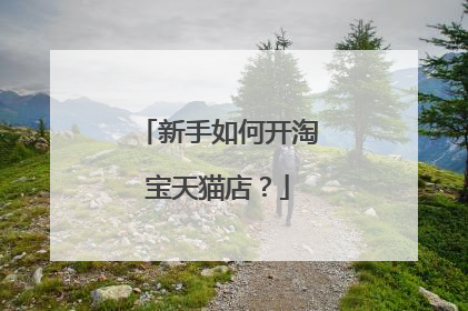 新手如何开淘宝天猫店？