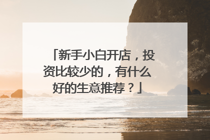 新手小白开店,投资比较少的,有什么好的生意推荐?