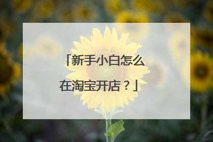 新手小白怎么在淘宝开店?