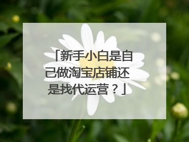 新手小白是自己做淘宝店铺还是找代运营?
