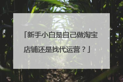 新手小白是自己做淘宝店铺还是找代运营?