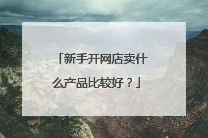 新手开网店卖什么产品比较好?