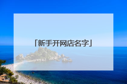 新手开网店名字