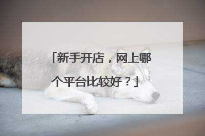 新手开店,网上哪个平台比较好?