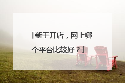 新手开店,网上哪个平台比较好?