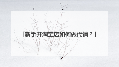 新手开淘宝店如何做代销?