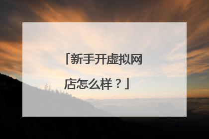 新手开虚拟网店怎么样?