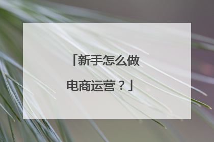 新手怎么做电商运营?