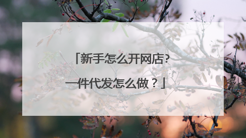 新手怎么开网店?一件代发怎么做?