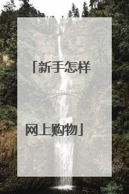 新手怎样网上购物