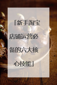 新手淘宝店铺运营必备的六大核心技能