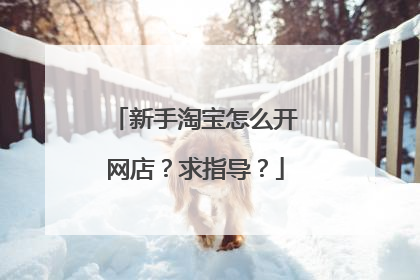 新手淘宝怎么开网店?求指导?