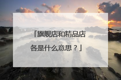 旗舰店和精品店各是什么意思?
