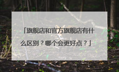 旗舰店和官方旗舰店有什么区别?哪个会更好点?