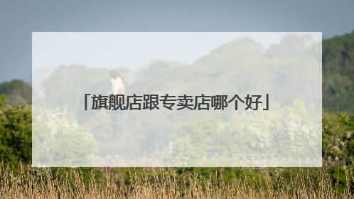 旗舰店跟专卖店哪个好
