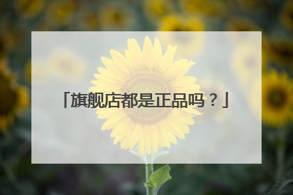 旗舰店都是正品吗？