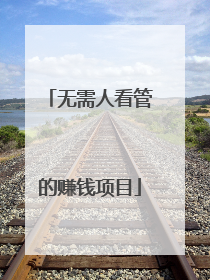 无需人看管的赚钱项目