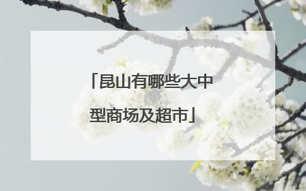 昆山有哪些大中型商场及超市