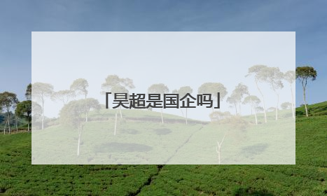 昊超是国企吗