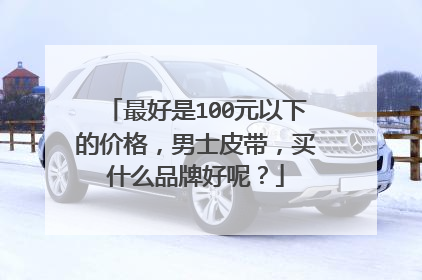 最好是100元以下的价格,男士皮带,买什么品牌好呢?