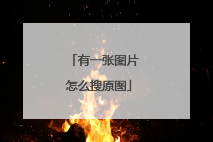 有一张图片怎么搜原图