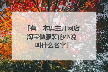 有一本男主开网店 淘宝做服装的小说 叫什么名字