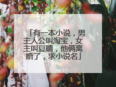 有一本小说,男主人公叫淘宝,女主叫夏晴,他俩离婚了,求小说名