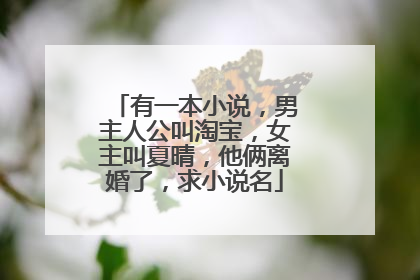 有一本小说,男主人公叫淘宝,女主叫夏晴,他俩离婚了,求小说名
