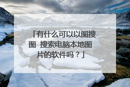 有什么可以以图搜图 搜索电脑本地图片的软件吗?