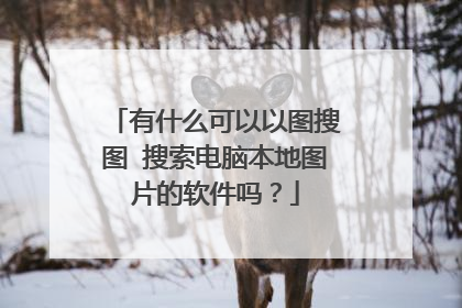 有什么可以以图搜图 搜索电脑本地图片的软件吗?