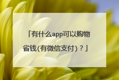 有什么app可以购物省钱(有微信支付)?