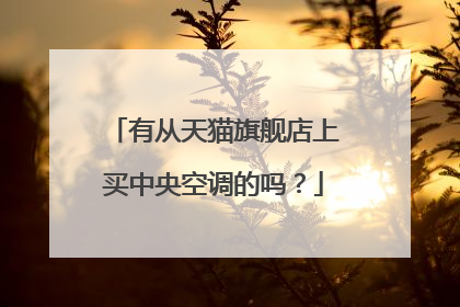 有从天猫旗舰店上买中央空调的吗？