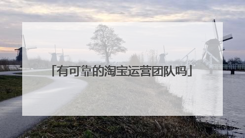 有可靠的淘宝运营团队吗