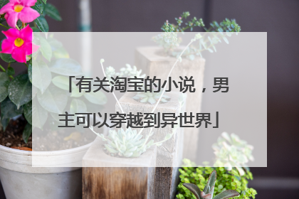 有关淘宝的小说,男主可以穿越到异世界
