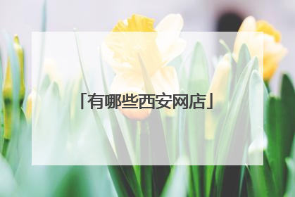 有哪些西安网店