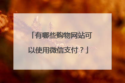 有哪些购物网站可以使用微信支付?