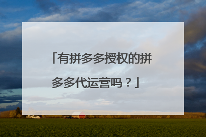 有拼多多授权的拼多多代运营吗?