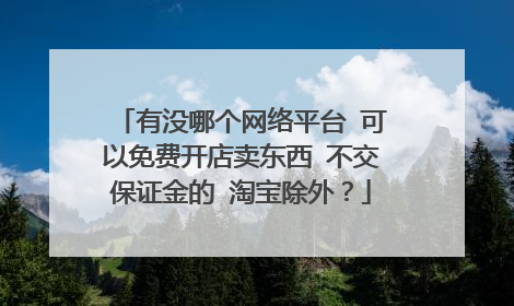 有没哪个网络平台 可以免费开店卖东西 不交保证金的 淘宝除外?