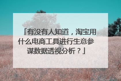 有没有人知道,淘宝用什么电商工具进行生意参谋数据透视分析?