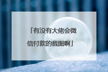 有没有大佬会微信付款的截图啊