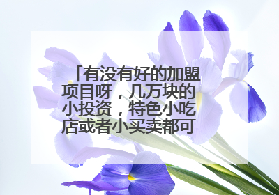 有没有好的加盟项目呀，几万块的小投资，特色小吃店或者小买卖都可以呀，求推荐