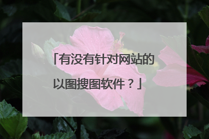 有没有针对网站的以图搜图软件?