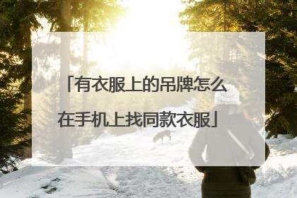 有衣服上的吊牌怎么在手机上找同款衣服