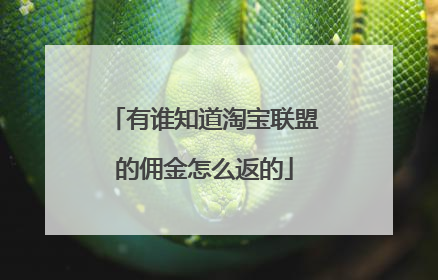 有谁知道淘宝联盟的佣金怎么返的