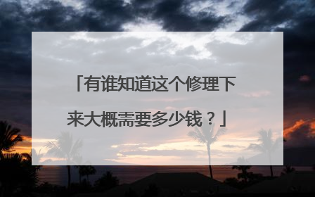 有谁知道这个修理下来大概需要多少钱?
