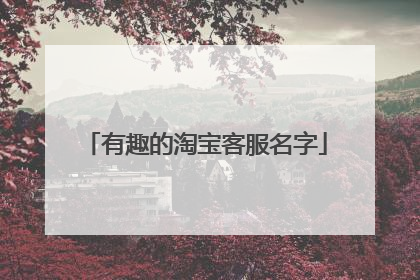 有趣的淘宝客服名字