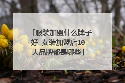 服装加盟什么牌子好 女装加盟店10大品牌都是哪些