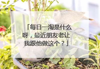 每日一淘是什么呀,最近朋友老让我跟他做这个?